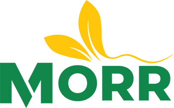 MORR Logo